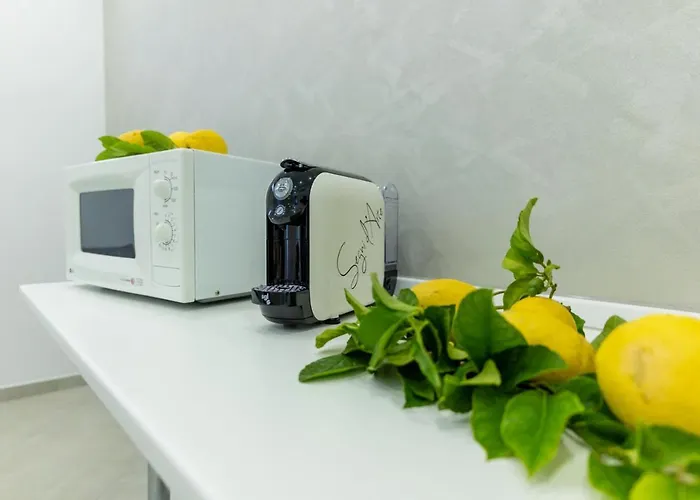 Teddu Bed and breakfast