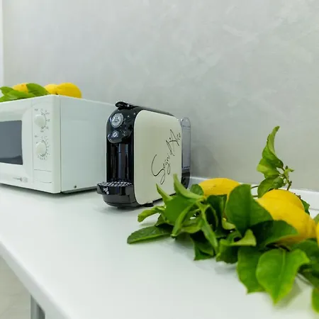 Teddu Bed & Breakfast